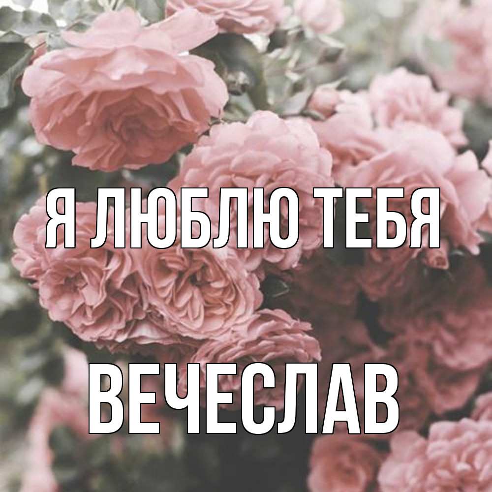 Открытка  с именем. Вечеслав, Я люблю тебя  