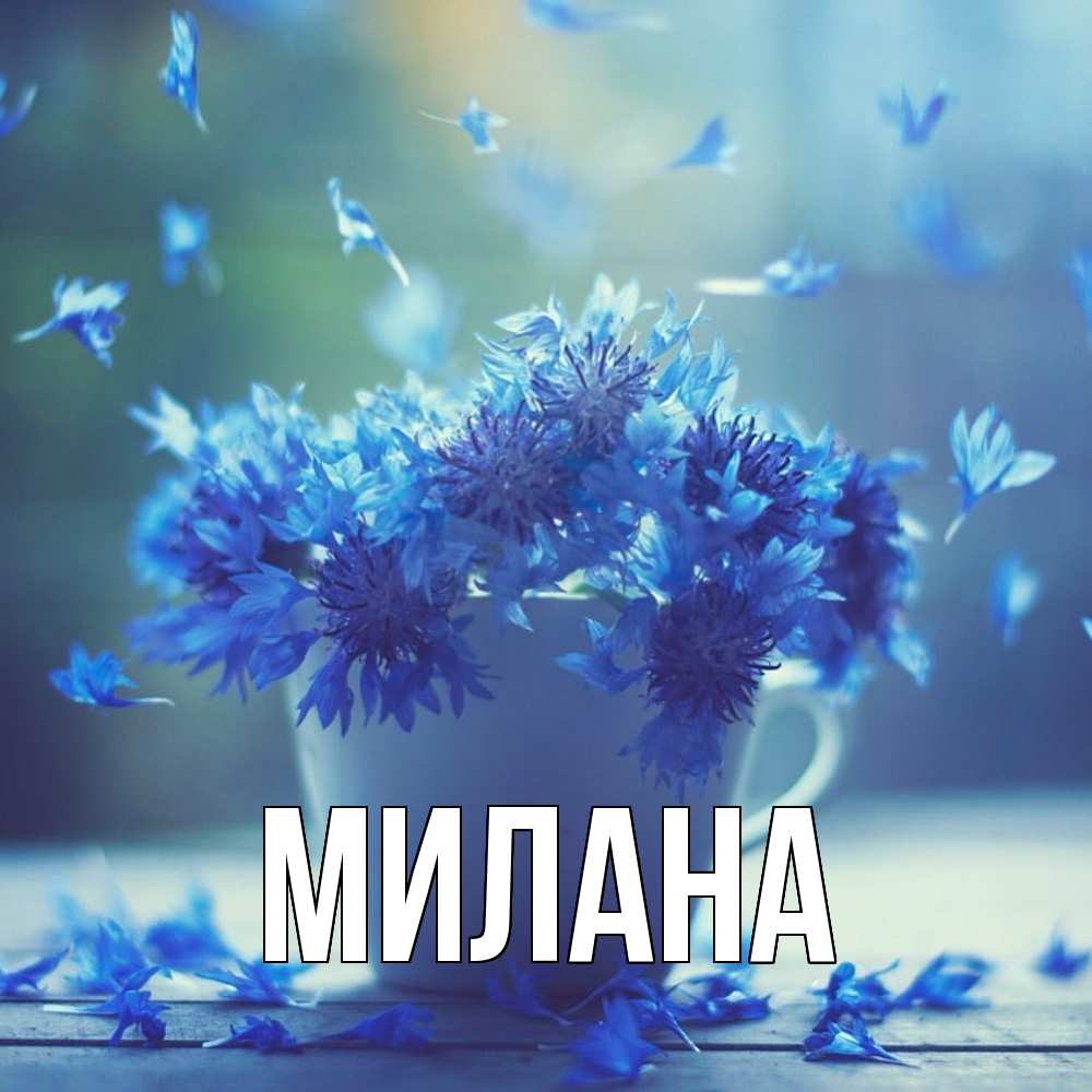 Открытка  с именем. Милана, Главная  