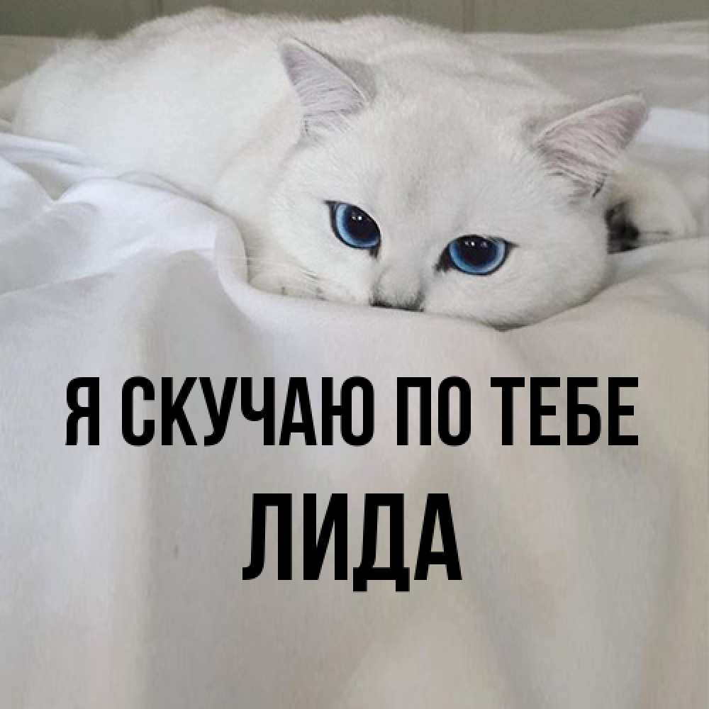 Открытка  с именем. Лида, Я скучаю по тебе  