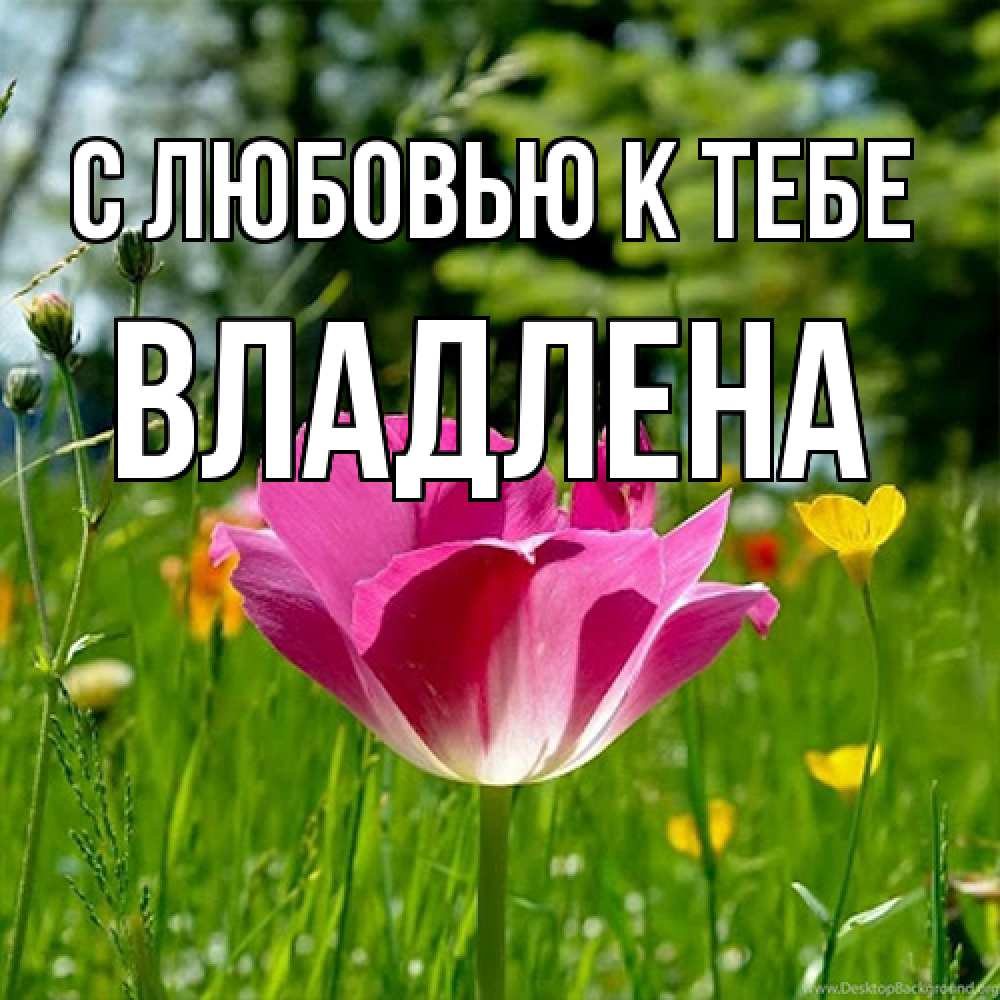 Открытка  с именем. Владлена, С любовью к тебе  
