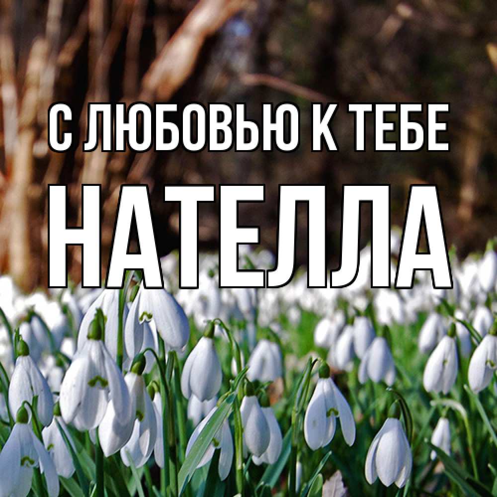 Открытка  с именем. Нателла, С любовью к тебе  