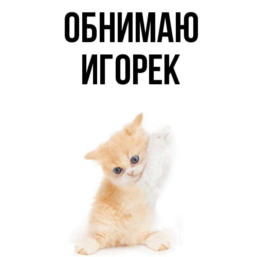 Открытка  с именем. Игорек, Обнимаю  