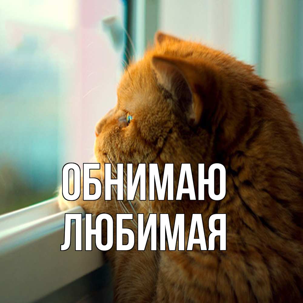 Открытка  с именем. Любимая, Обнимаю  