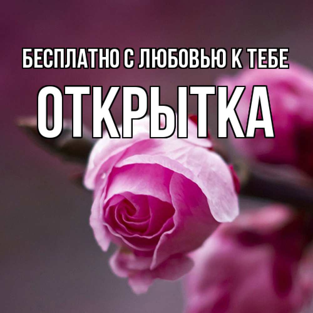 Открытка  с именем. открытка, С любовью к тебе  