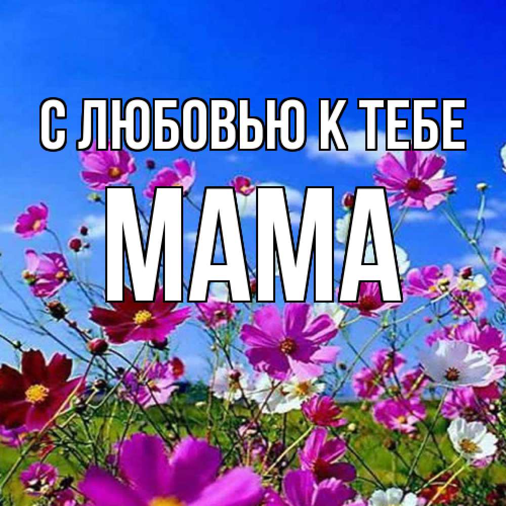 Открытка  с именем. Мама, С любовью к тебе  