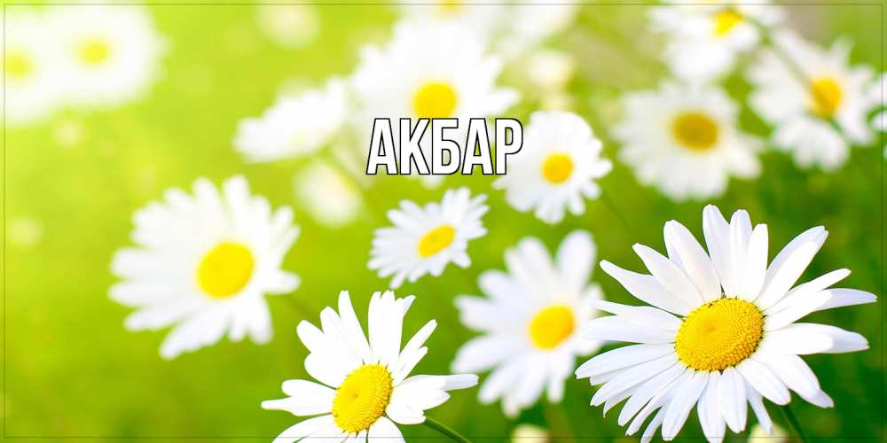 Открытка  с именем. Акбар, Главная  