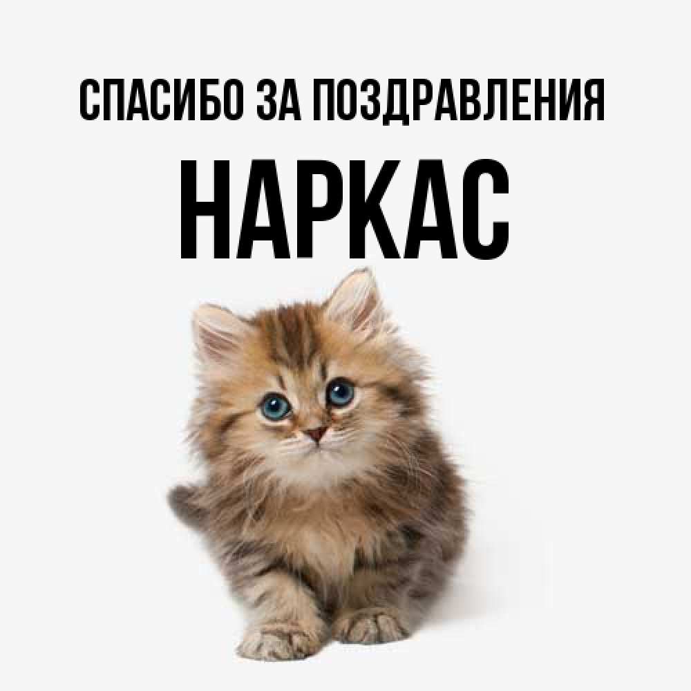 Открытка  с именем. Наркас, Спасибо за поздравления  