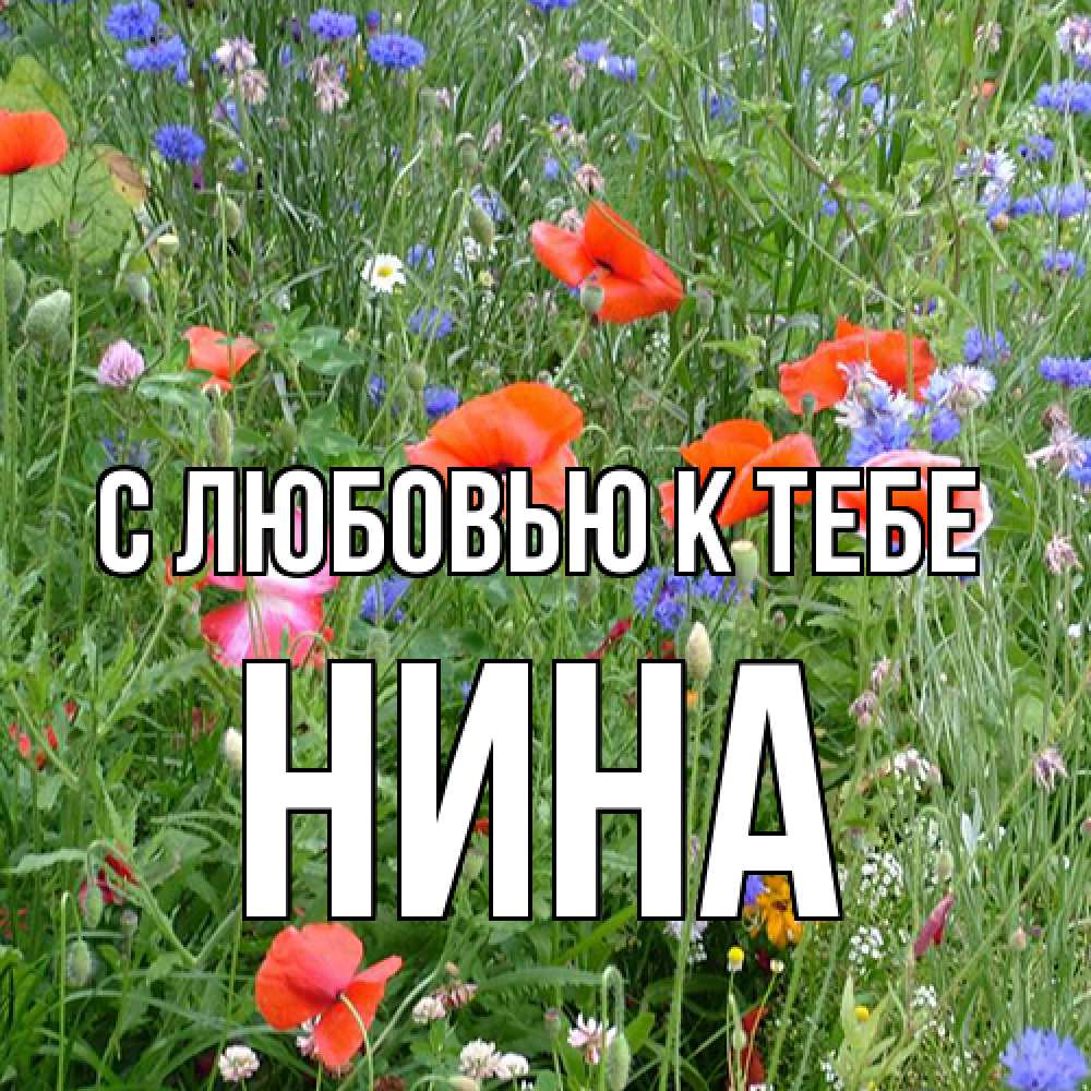 Открытка  с именем. Нина, С любовью к тебе  