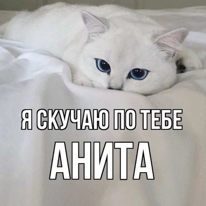 Картинка Я скучаю по тебе, Анита