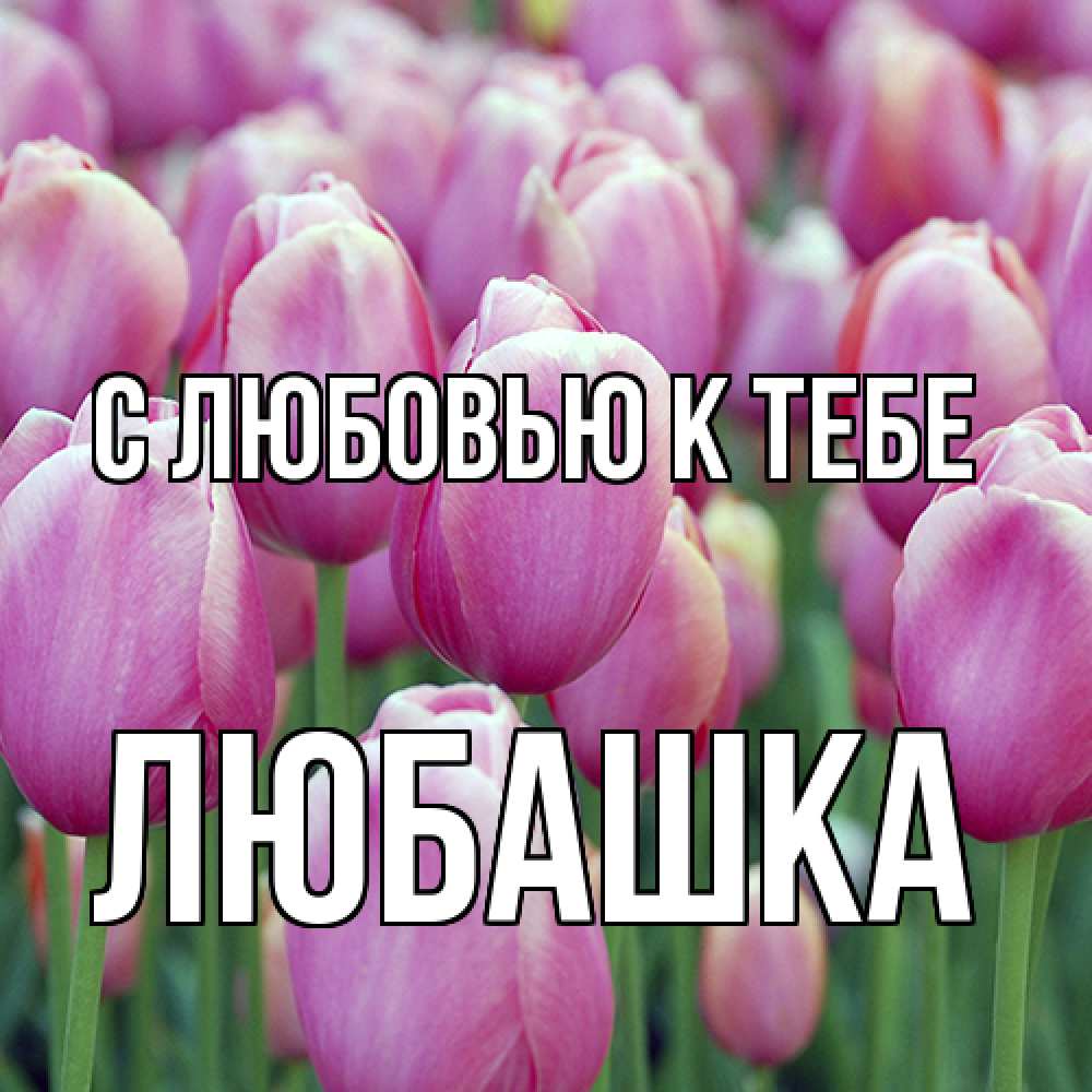 Открытка  с именем. Любашка, С любовью к тебе  