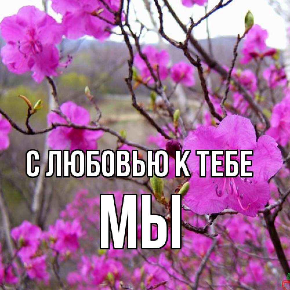 Открытка  с именем. Мы, С любовью к тебе  