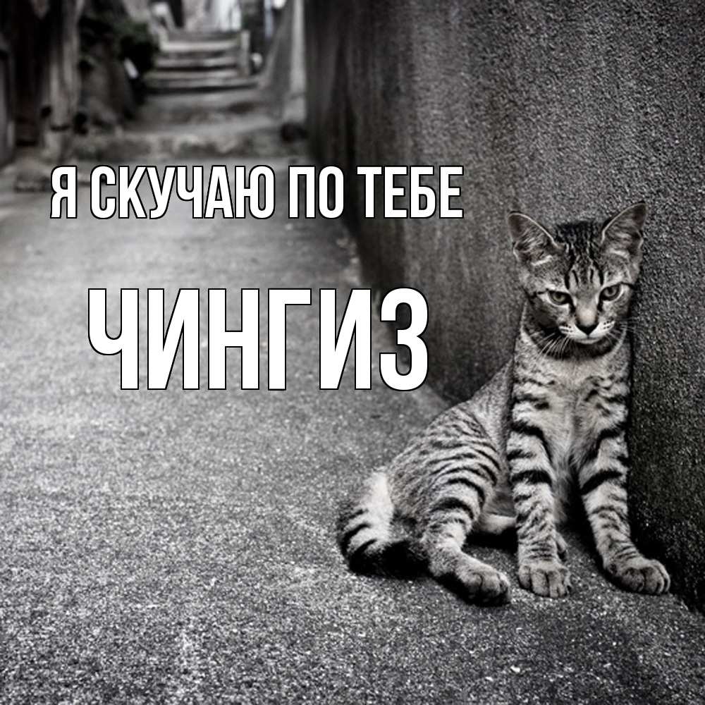 Открытка  с именем. Чингиз, Я скучаю по тебе  