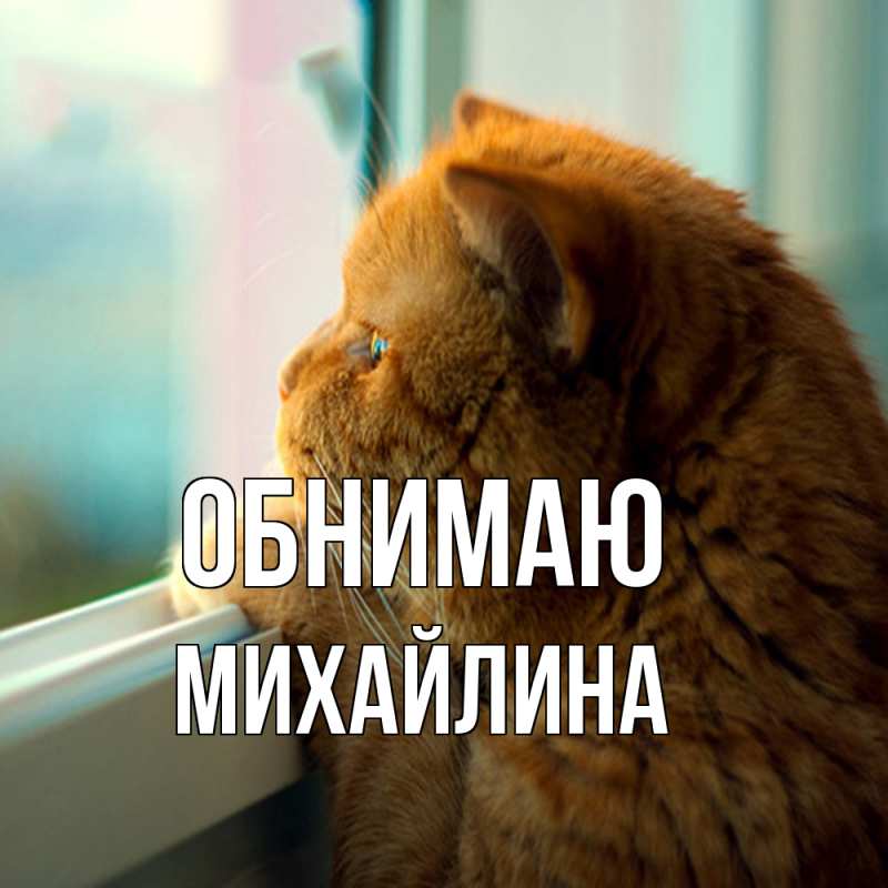 Картинка Обнимаю, Михайлина