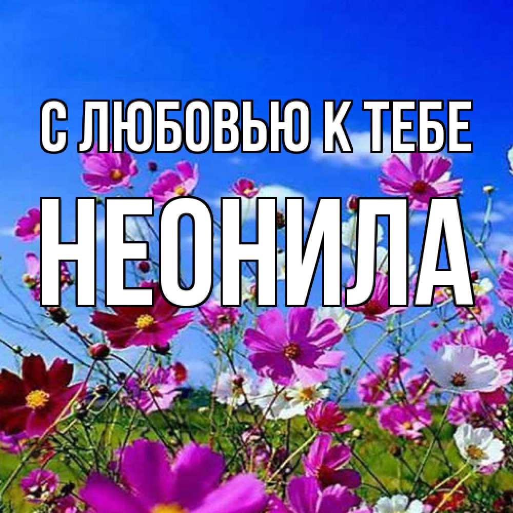 Открытка  с именем. Неонила, С любовью к тебе  