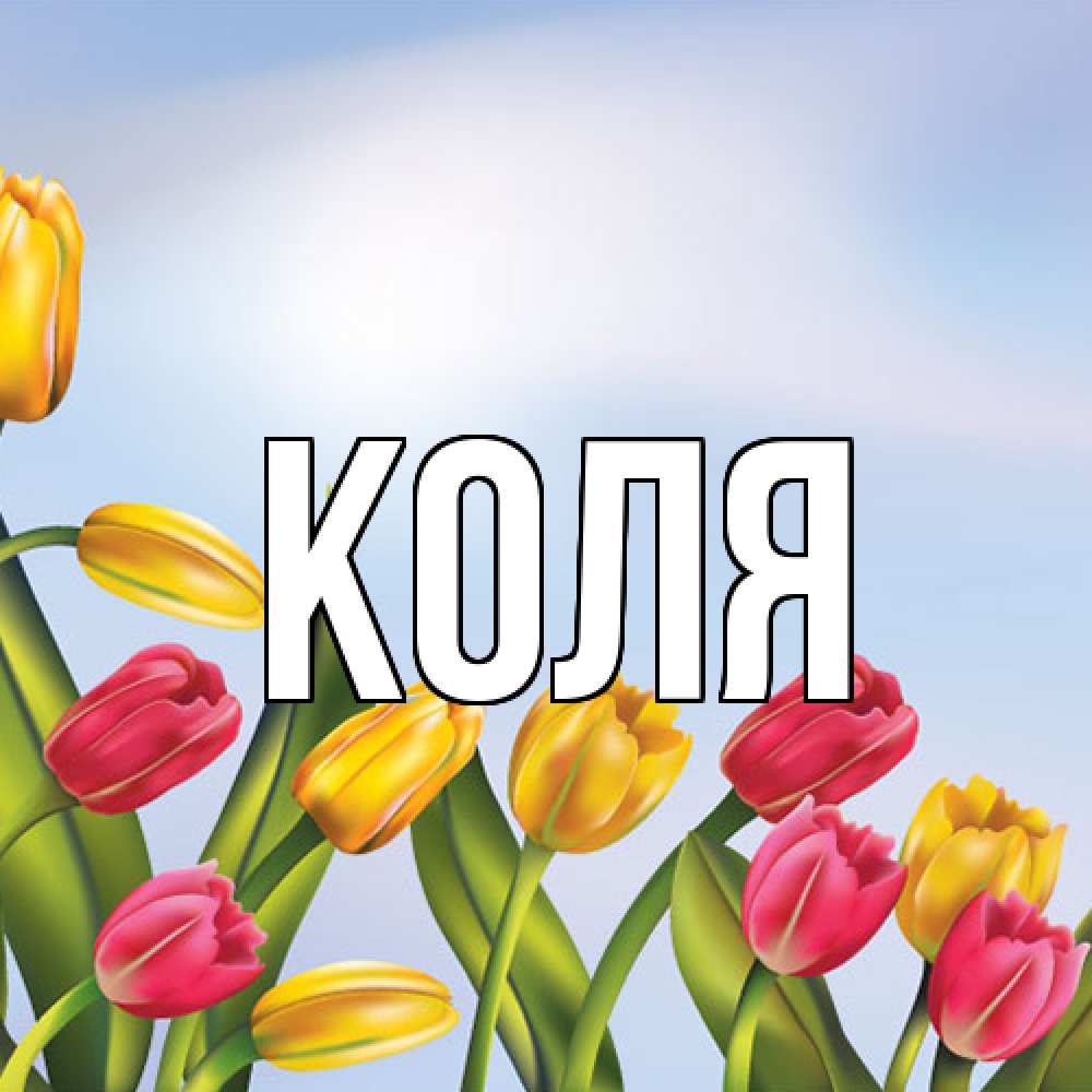 Открытка  с именем. коля, Главная  