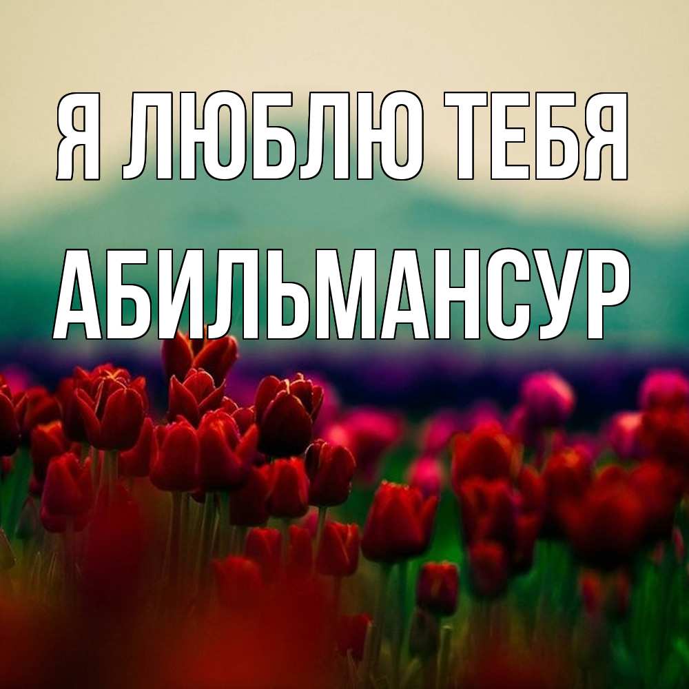 Открытка  с именем. Абильмансур, Я люблю тебя  