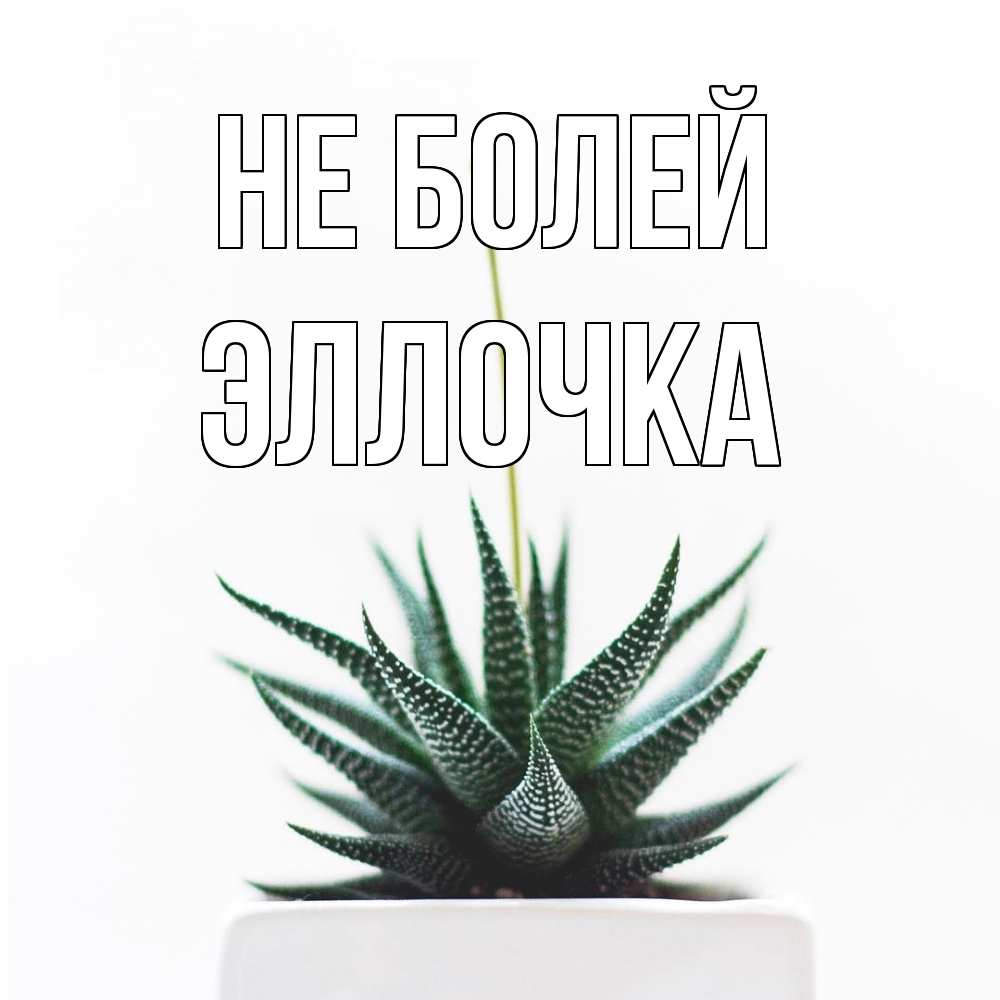 Открытка  с именем. Эллочка, Не болей  