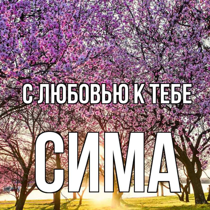 Картинка С любовью к тебе, Сима