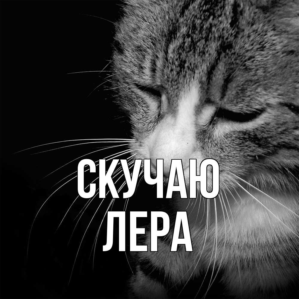 Открытка  с именем. Лера, Скучаю  