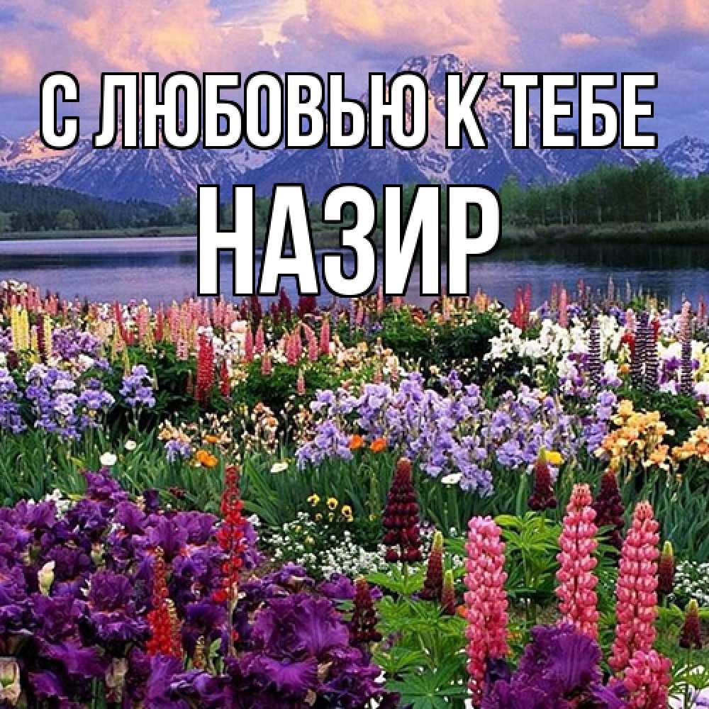 Открытка  с именем. Назир, С любовью к тебе  
