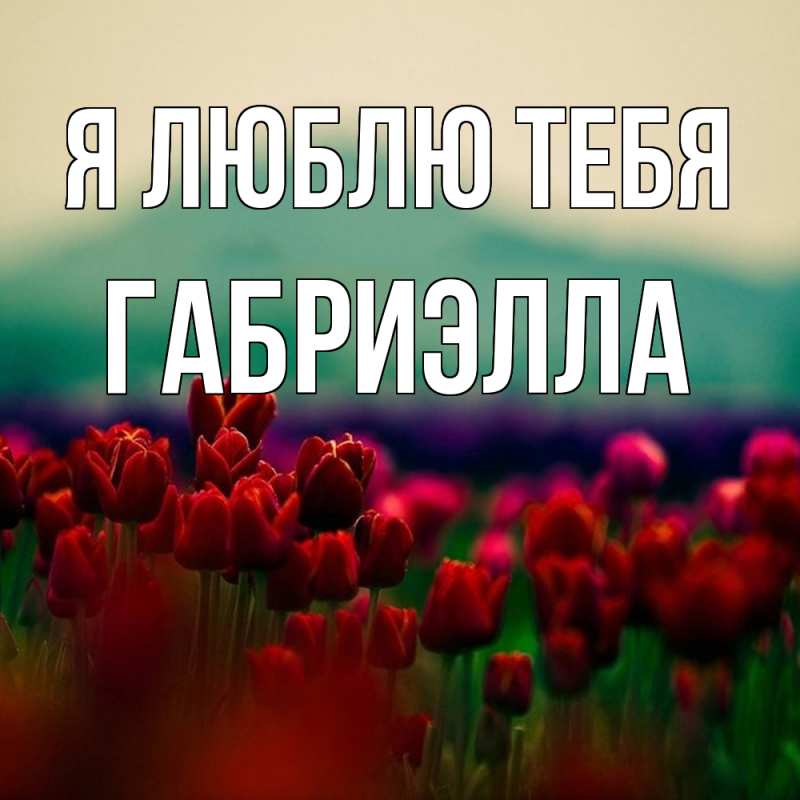 Картинка Я люблю тебя, Габриэлла