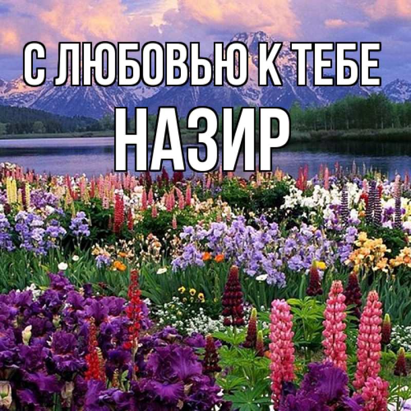 Картинка С любовью к тебе, Назир