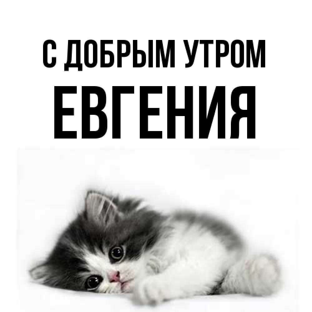 Открытка  с именем. Евгения, С добрым утром  