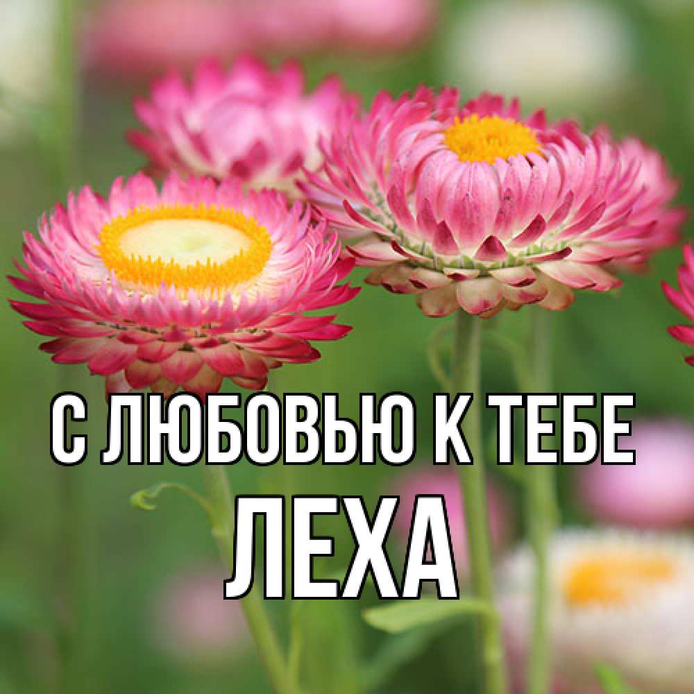 Открытка  с именем. Леха, С любовью к тебе  