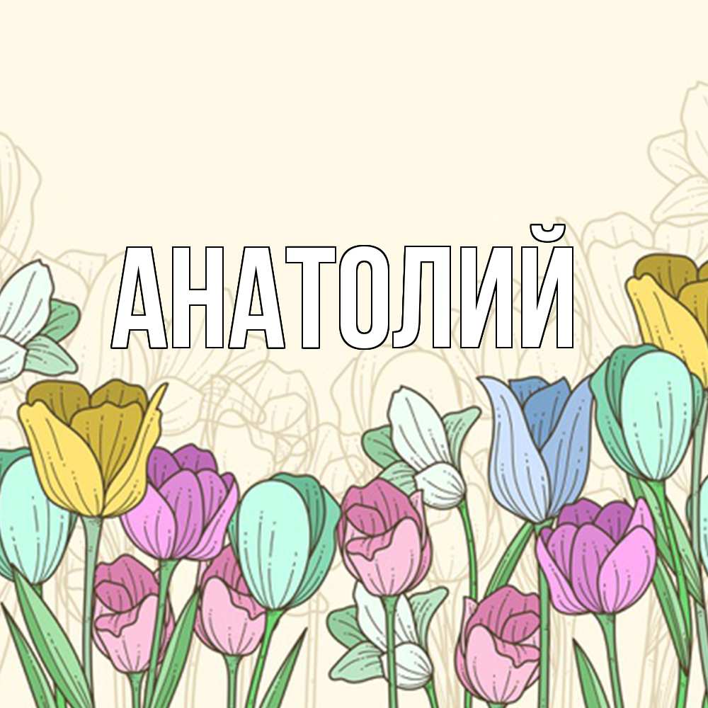 Открытка  с именем. Анатолий, Главная  