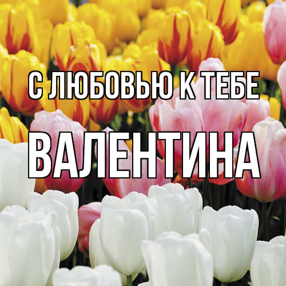 Открытка  с именем. валентина, С любовью к тебе  