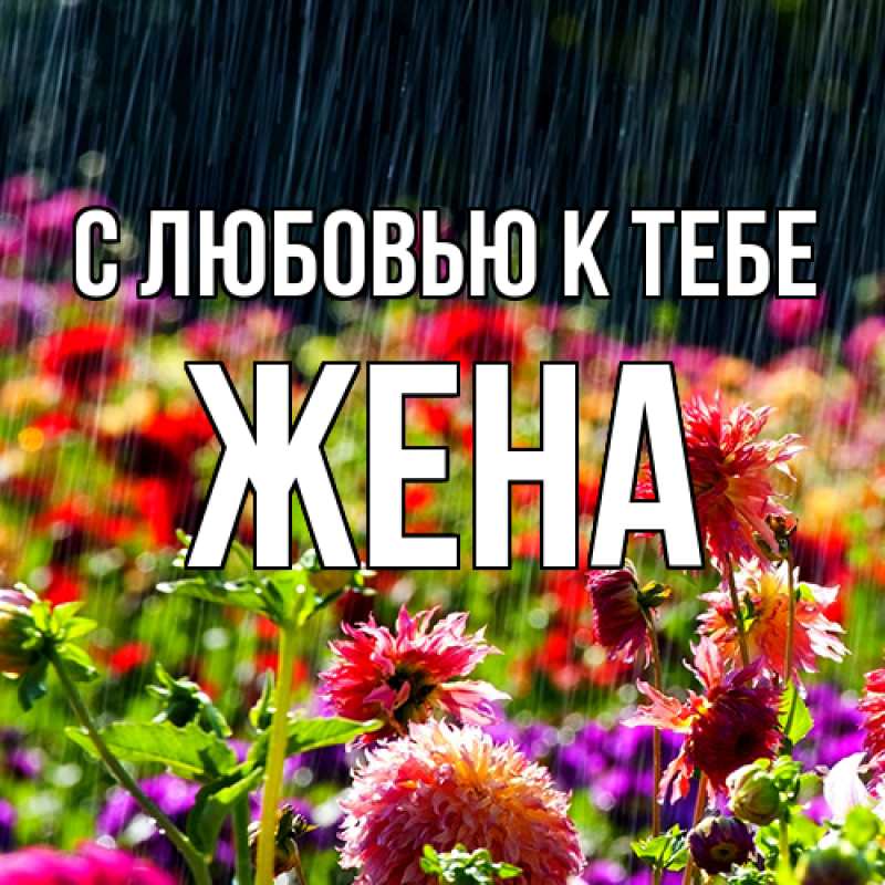 Картинка С любовью к тебе, Жена