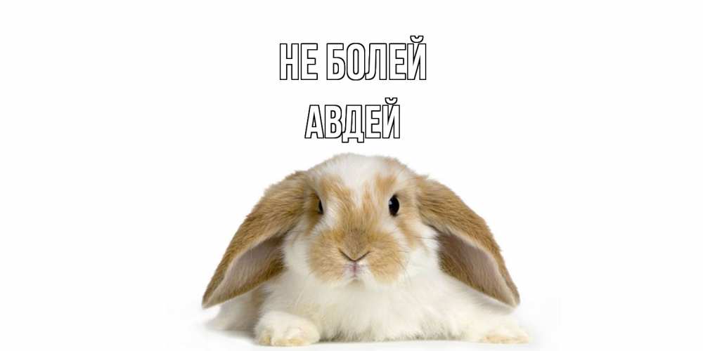 Открытка  с именем. Авдей, Не болей  