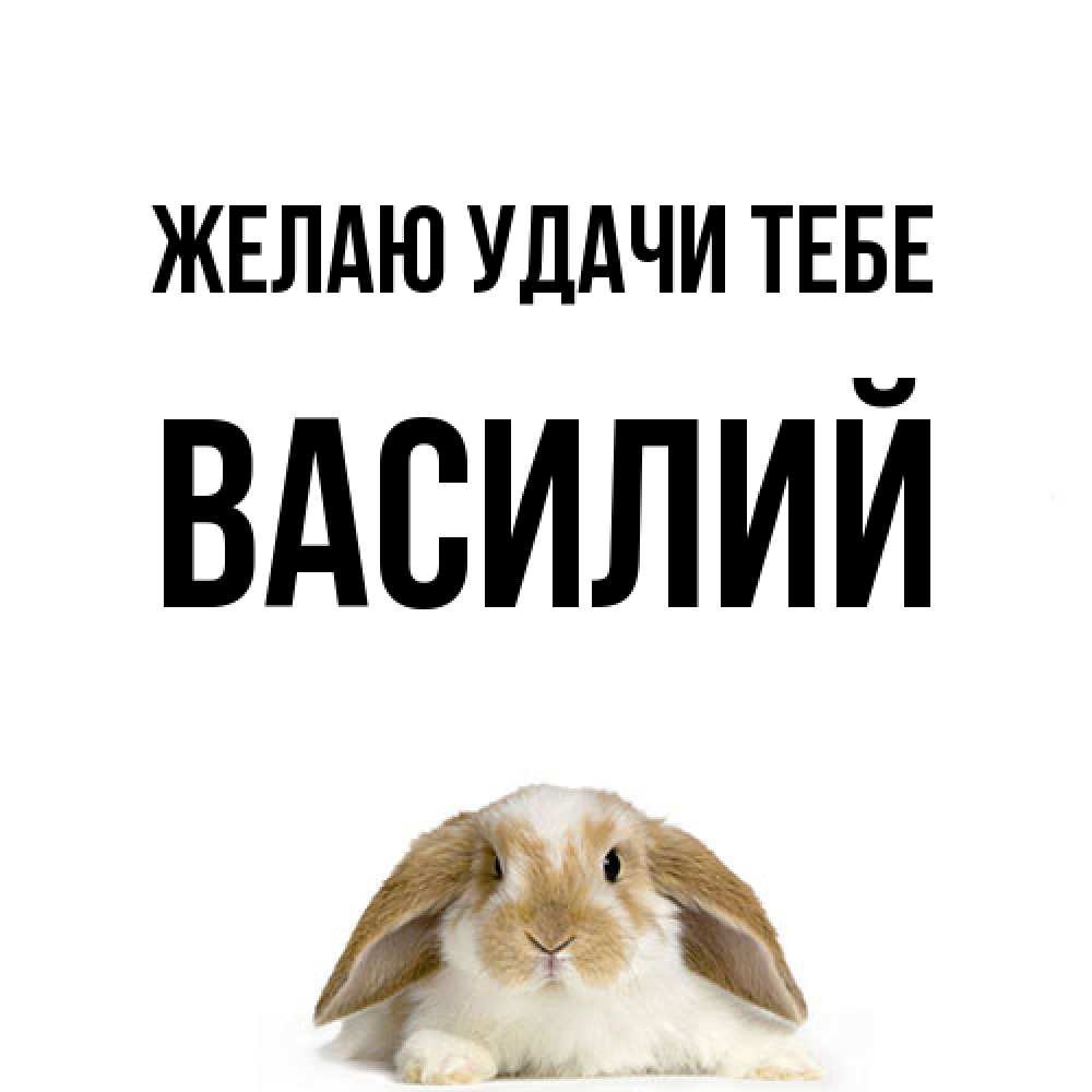 Открытка  с именем. Василий, Желаю удачи тебе  