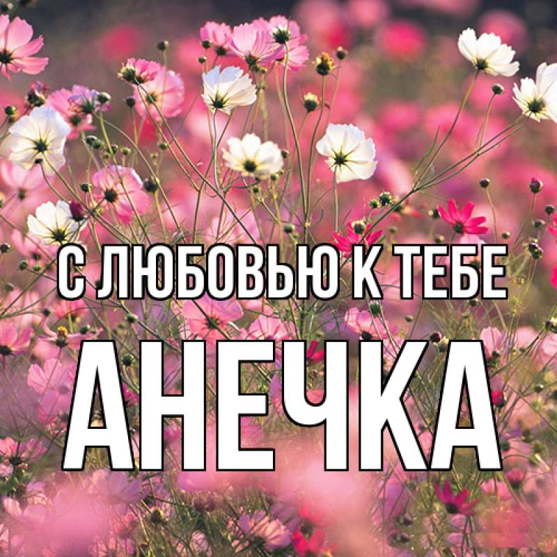 Картинка С любовью к тебе, анечка