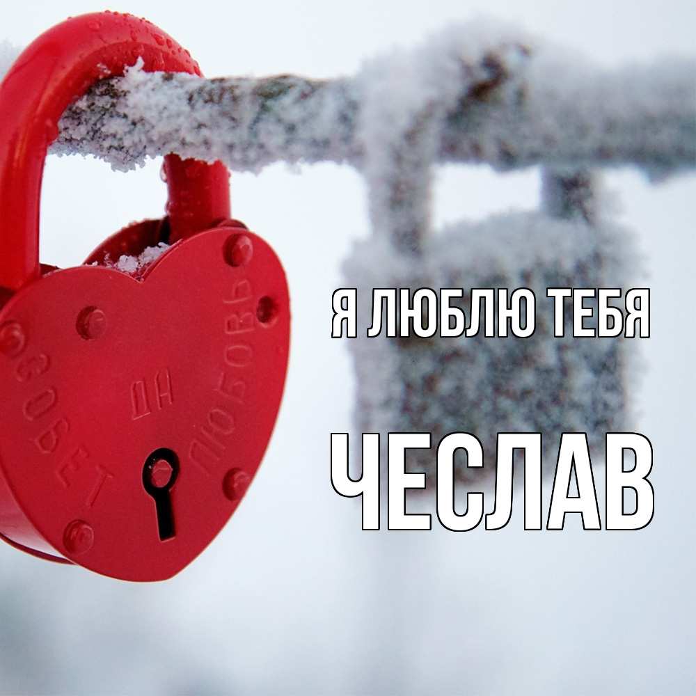 Открытка  с именем. Чеслав, Я люблю тебя  