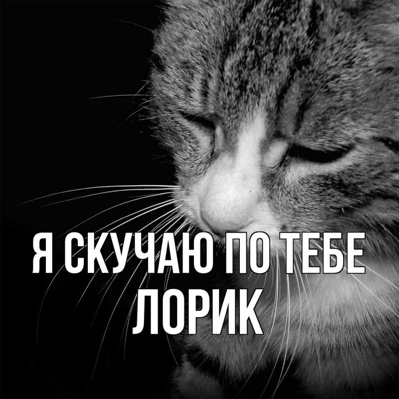 Картинка Я скучаю по тебе, Лорик
