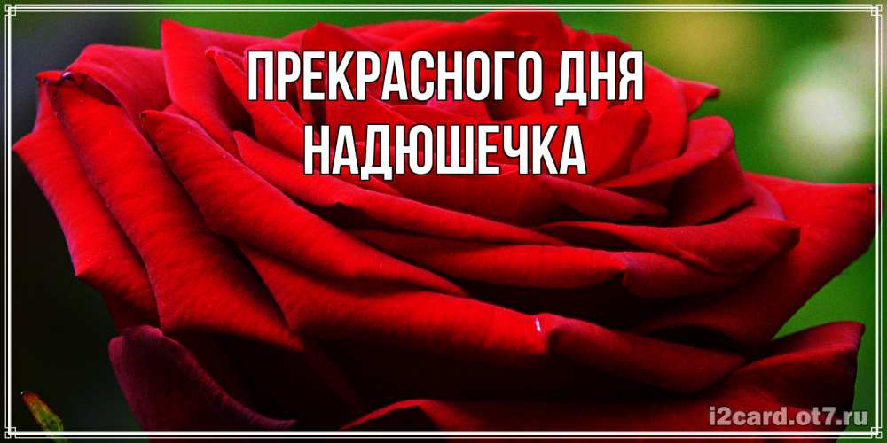 Открытка  с именем. Надюшечка, Прекрасного дня  
