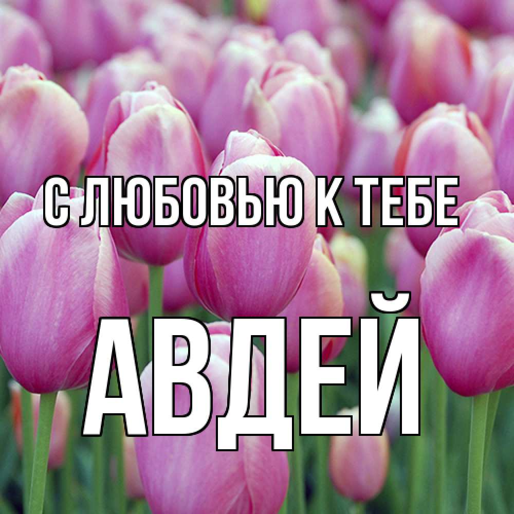 Открытка  с именем. Авдей, С любовью к тебе  