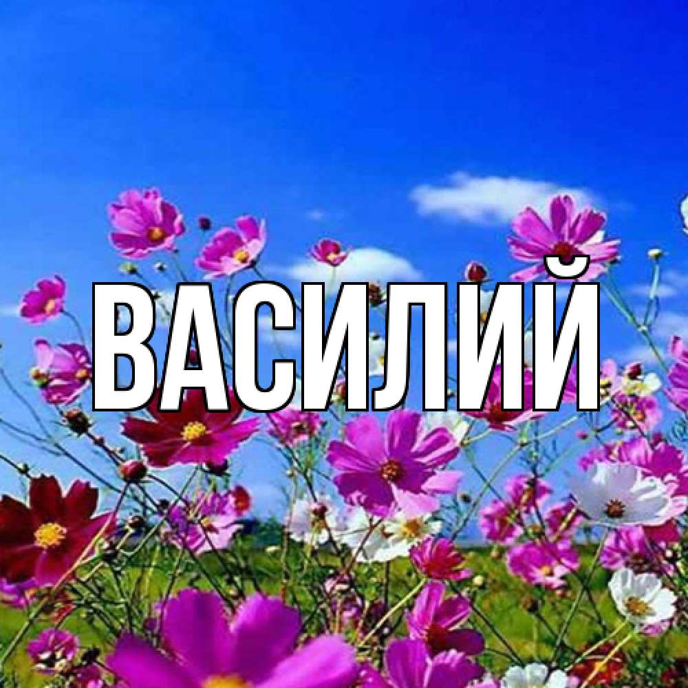 Открытка  с именем. Василий, Главная  