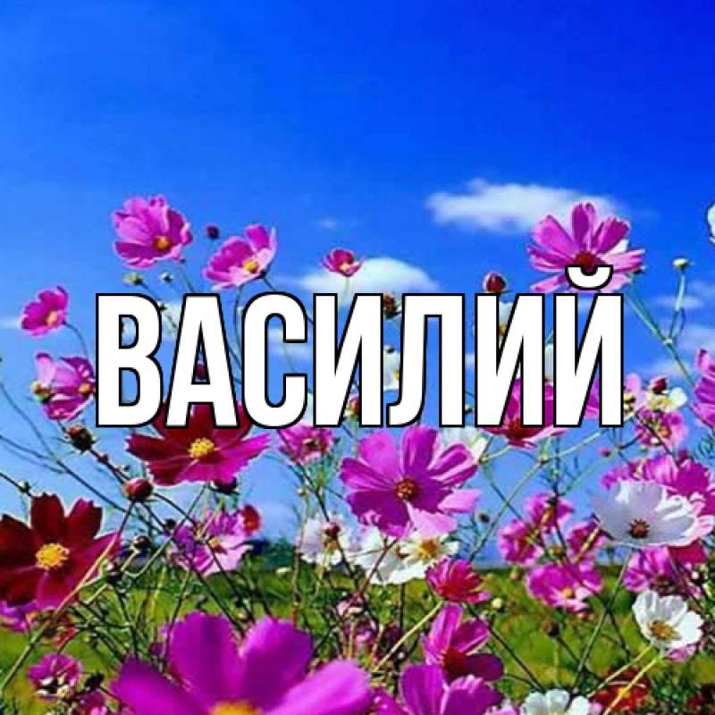 Картинка  с именем , Василий