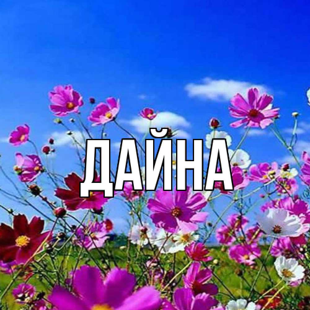 Открытка  с именем. Дайна, Главная  