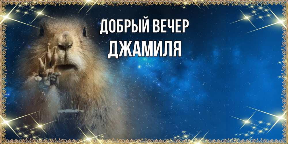 Открытка  с именем. Джамиля, Добрый вечер  