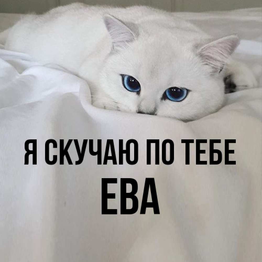 Открытка  с именем. Ева, Я скучаю по тебе  