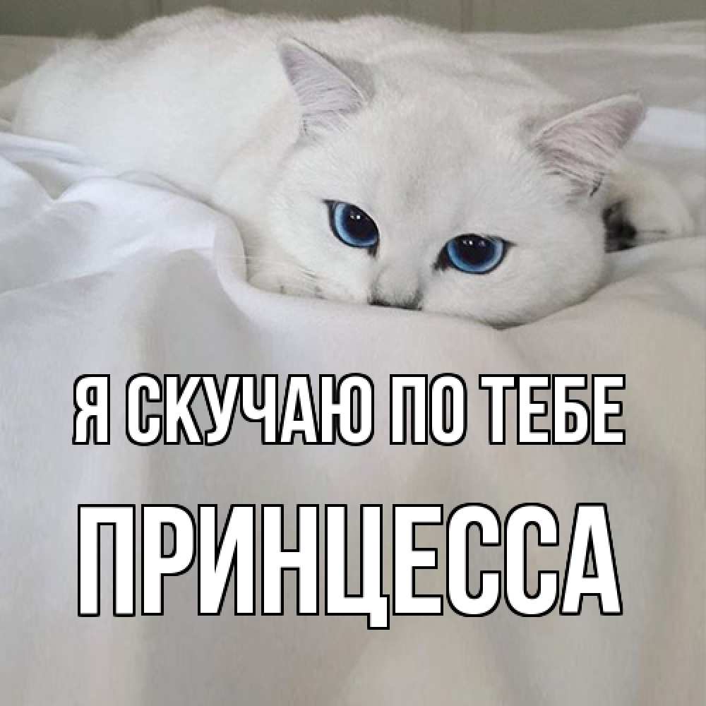 Открытка  с именем. Принцесса, Я скучаю по тебе  