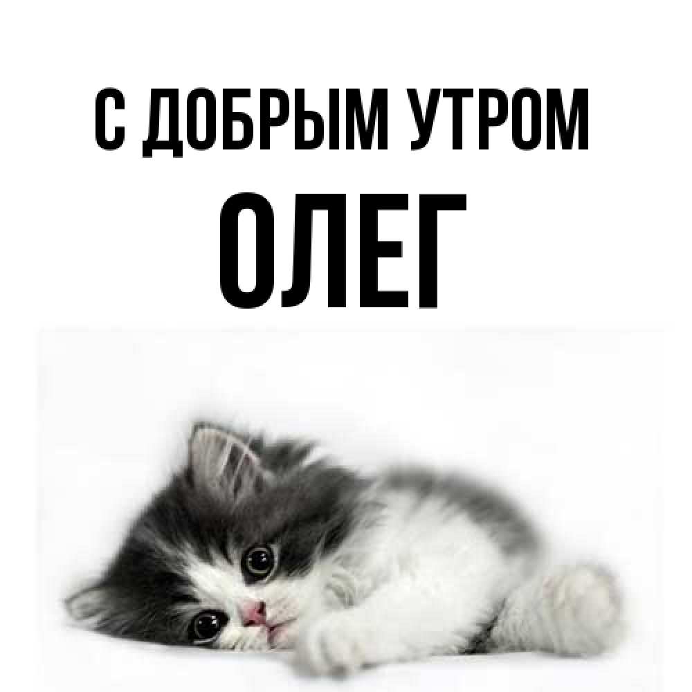 Открытка  с именем. олег, С добрым утром  