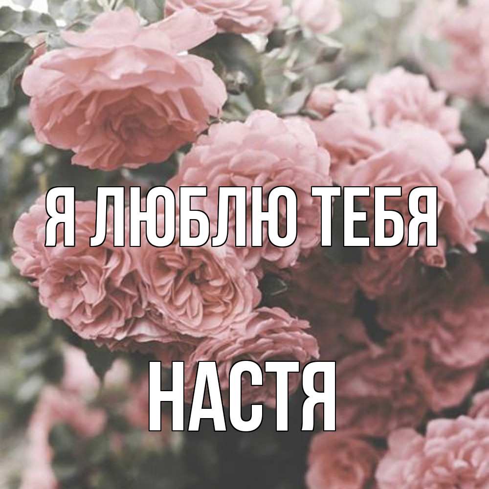 Открытка  с именем. Настя, Я люблю тебя  