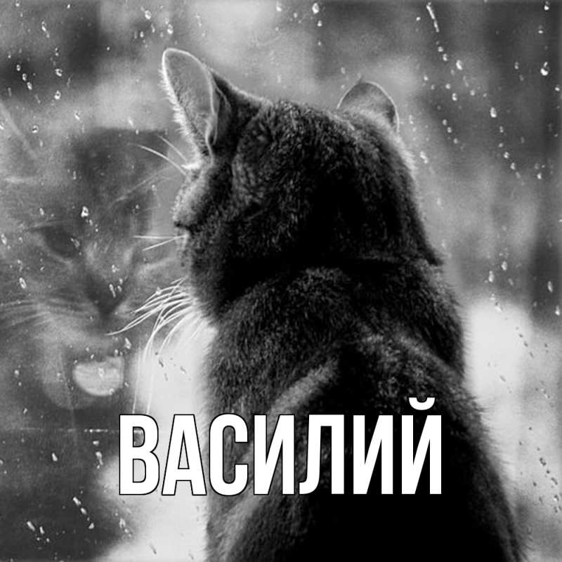 Картинка  с именем , Василий