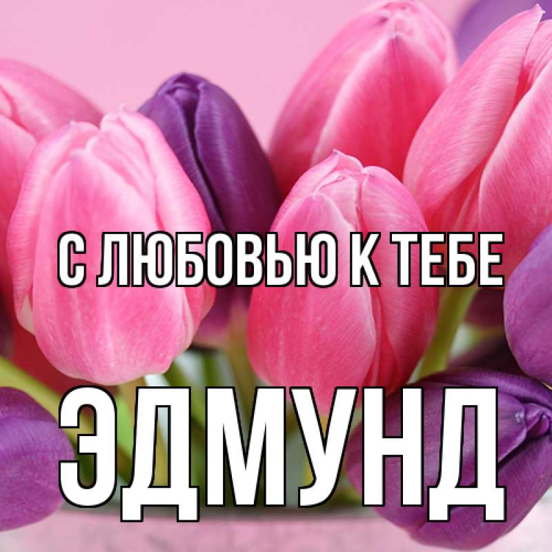 Картинка С любовью к тебе, Эдмунд