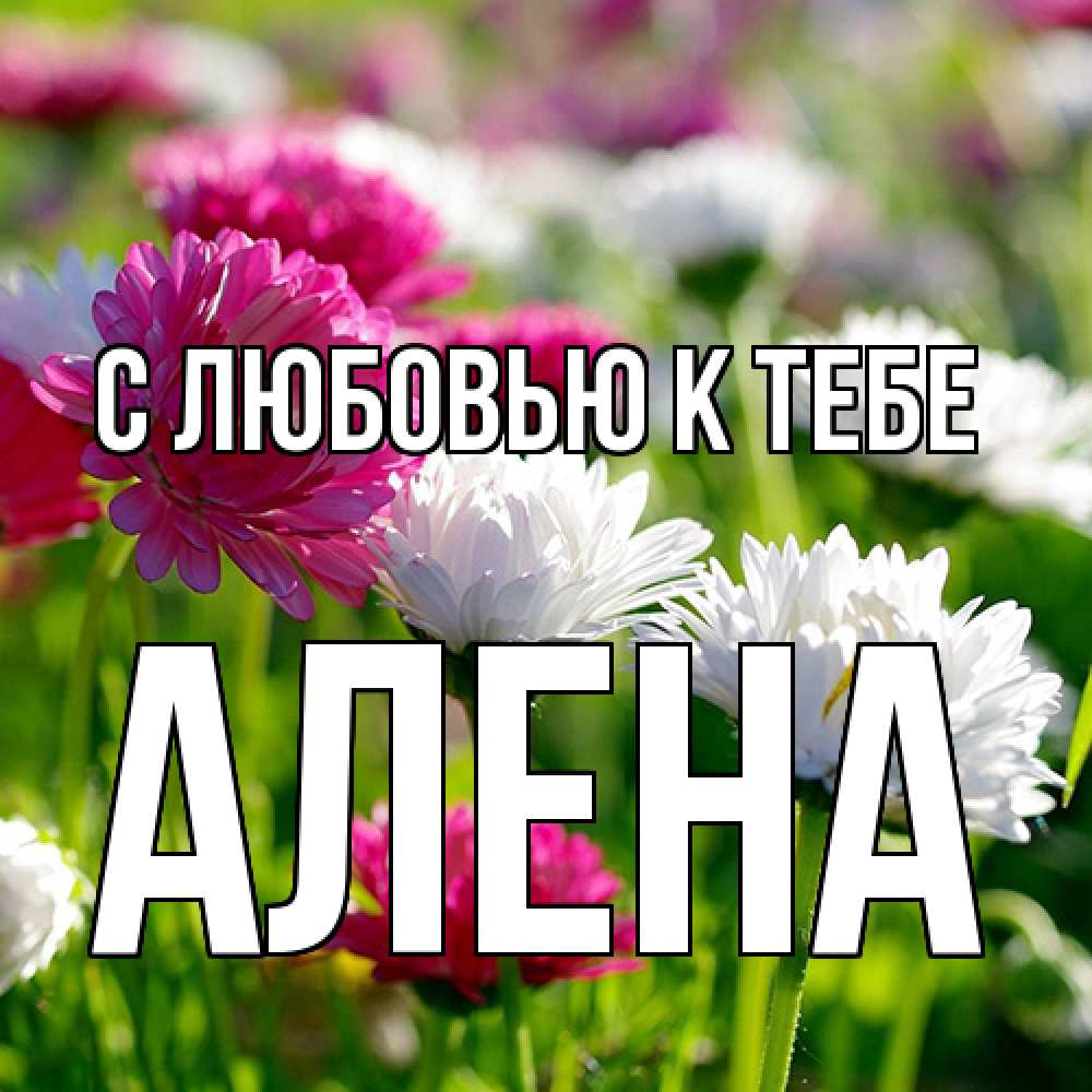 Открытка  с именем. Алена, С любовью к тебе  