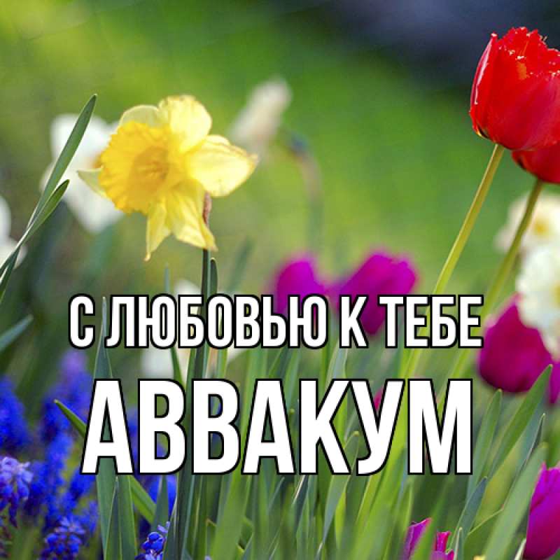 Картинка С любовью к тебе, Аввакум